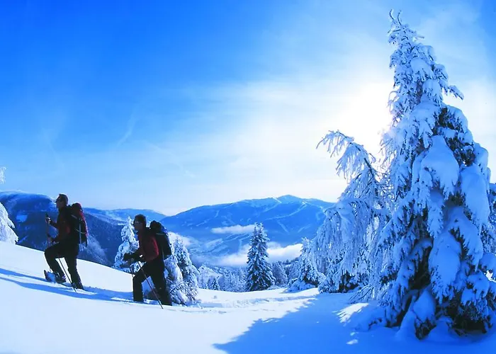 Haus Anni Pensionat Bad Kleinkirchheim